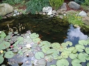 Photo025