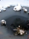 neige01