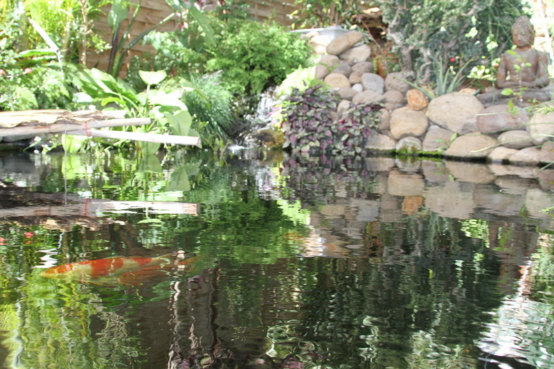 Accueil  Les Jardins de la Culture