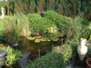 Photo004