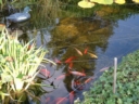 Photo005