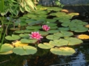 Photo008