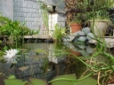 Pascal