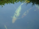 A2001 0829AH