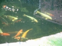 A2001 0829AV