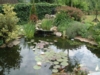 DSCF0098