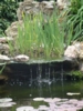 DSCF0100