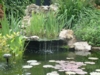 DSCF0101