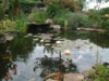 DSCF0103