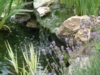 DSCF0107