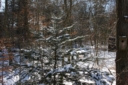 IMG 8174
