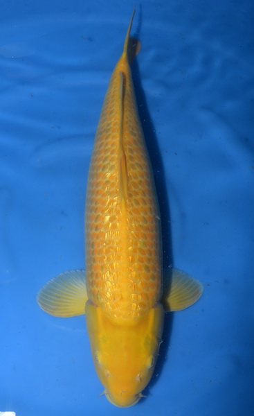 DSC 4859