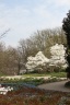 Jardins Japonais Japonese Garden