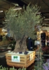 Deco et jardin 12