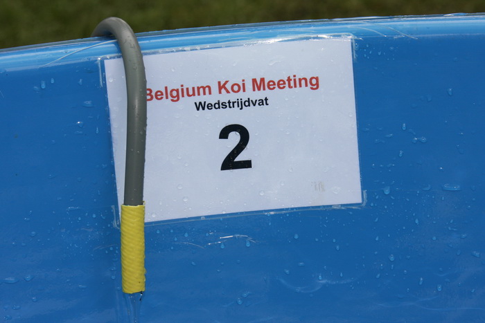 Belgium koi meeting 2008 0007