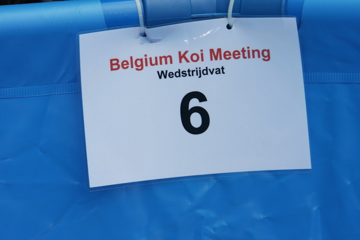 Belgium koi meeting 2008 0026