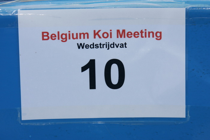 Belgium koi meeting 2008 0088