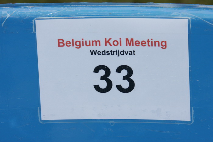 Belgium koi meeting 2008 0466