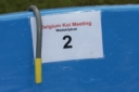 Belgium koi meeting 2008 0007