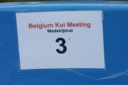 Belgium koi meeting 2008 0009
