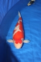 IMG 3945