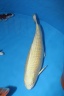 IMG 3761