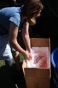 IMG 0813