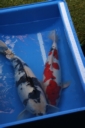 IMG 0843
