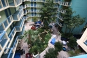 IMG 1051