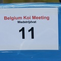 Belgium_koi_meeting_2008_0094.JPG