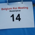 Belgium_koi_meeting_2008_0135.JPG