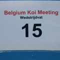 Belgium_koi_meeting_2008_0155.JPG