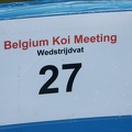Belgium_koi_meeting_2008_0224.JPG