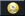 Bugs report